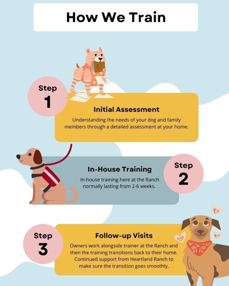 Dog Training El Paso TX & Las Cruces NM