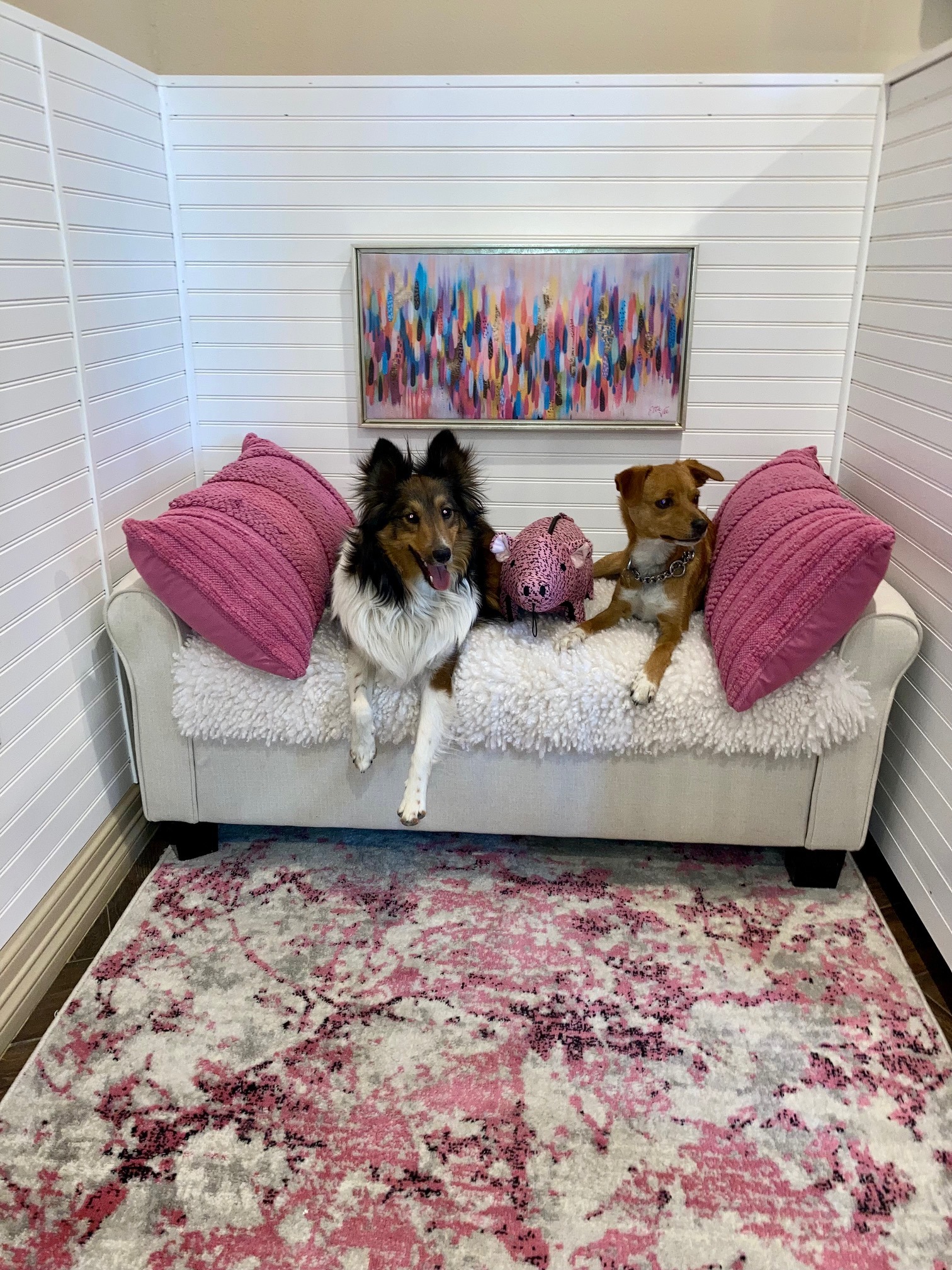 Luxury Dog Boarding El Paso TX Area Heartland Ranch USA